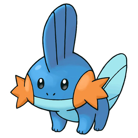What does the fin on Mudkip ' s head do?