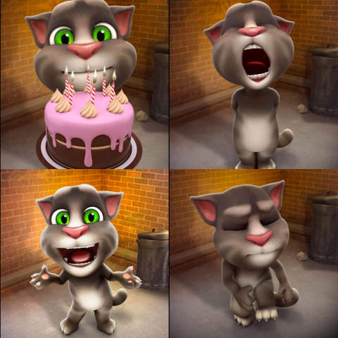 Talking Tom Cat Or Talking Tom Pool？