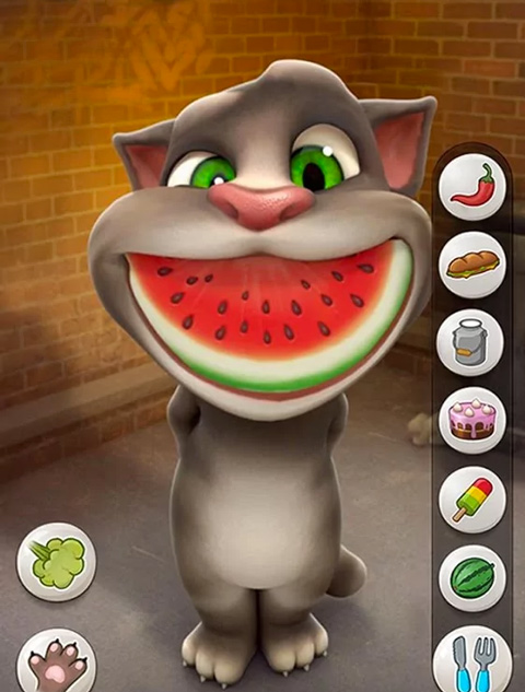 Talking Tom Cat Or Cat Runner: Decorate Home?