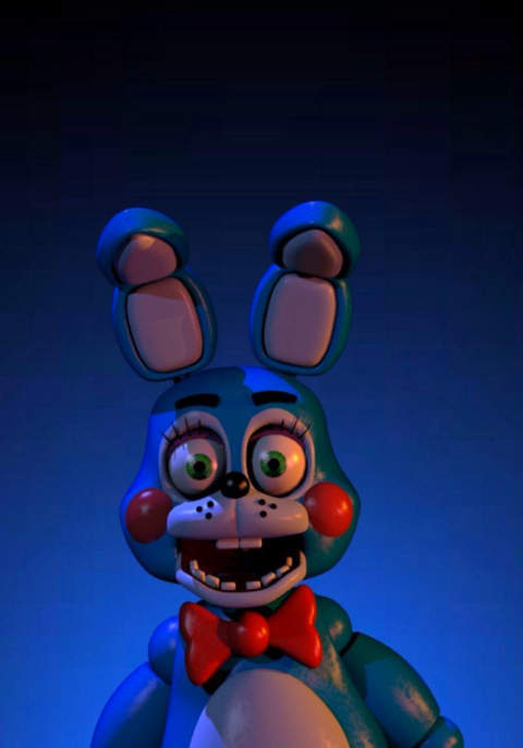 Toy Bonnie And Bonnie