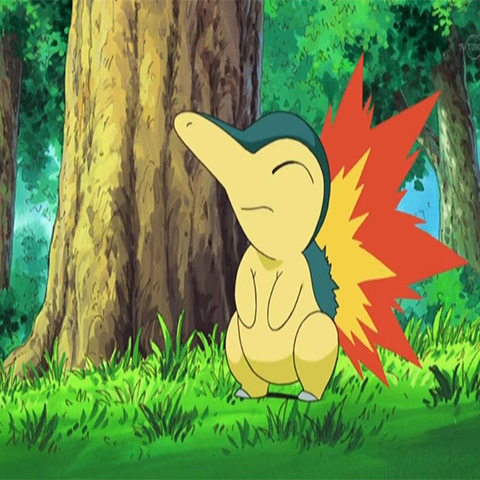 What type is Cyndaquil?