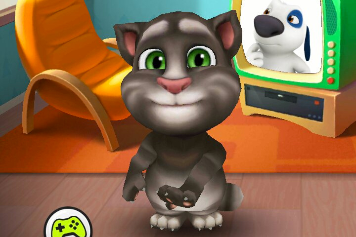 My Talking Tom Talking Tom Cat Or Talking Ginger?